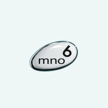 T9 Stud Earring